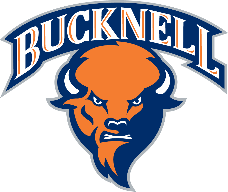 Bucknell Bison 2011-Pres Alternate Logo diy iron on heat transfer